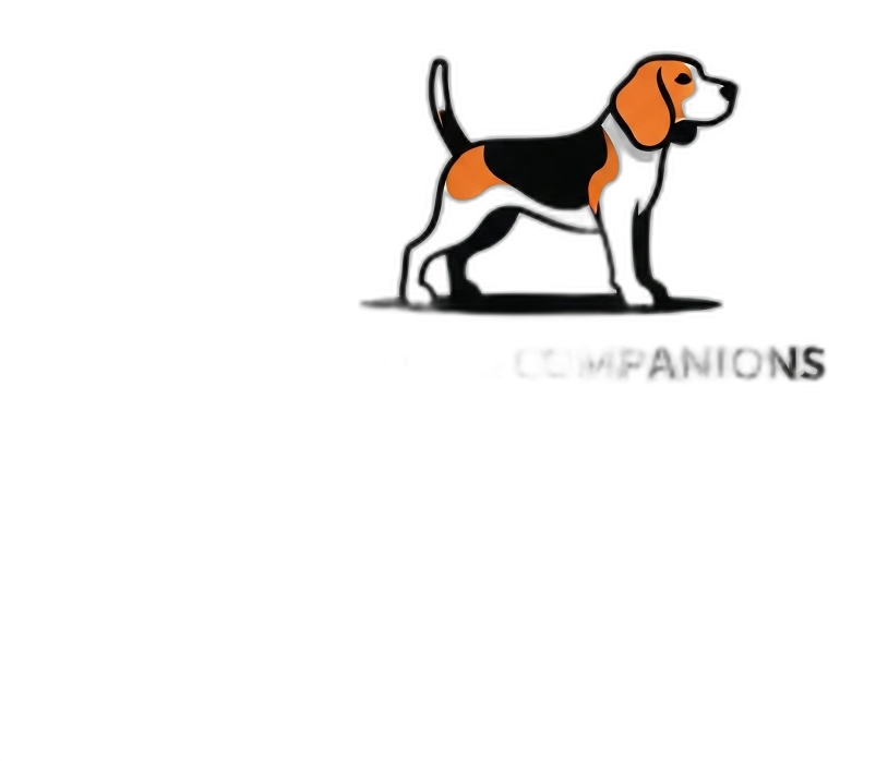 Beagle Guide Complet